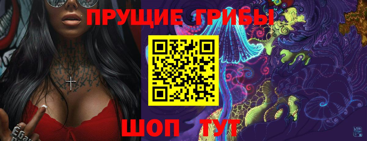 Галлюциногенные грибы GOLDEN TEACHER  Вход с VPN  купить наркотик  Галлюциногенные грибы Psilocybine cubensis  Красноармейск 